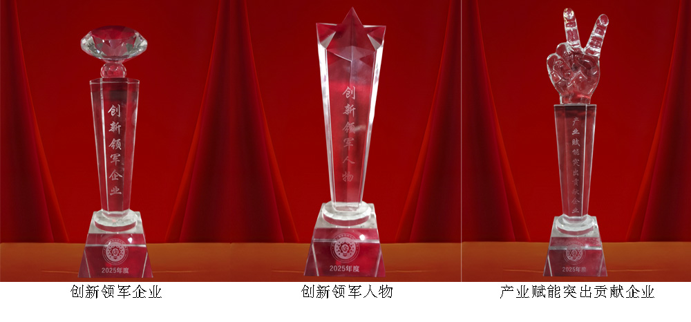 熱烈祝賀我司榮獲2025年度3項(xiàng)行業(yè)榮譽(yù)(圖5)